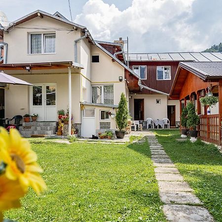 Pensiunea Montan Buşteni エクステリア 写真