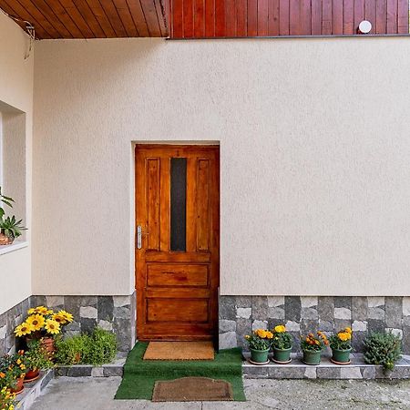 Pensiunea Montan Buşteni エクステリア 写真
