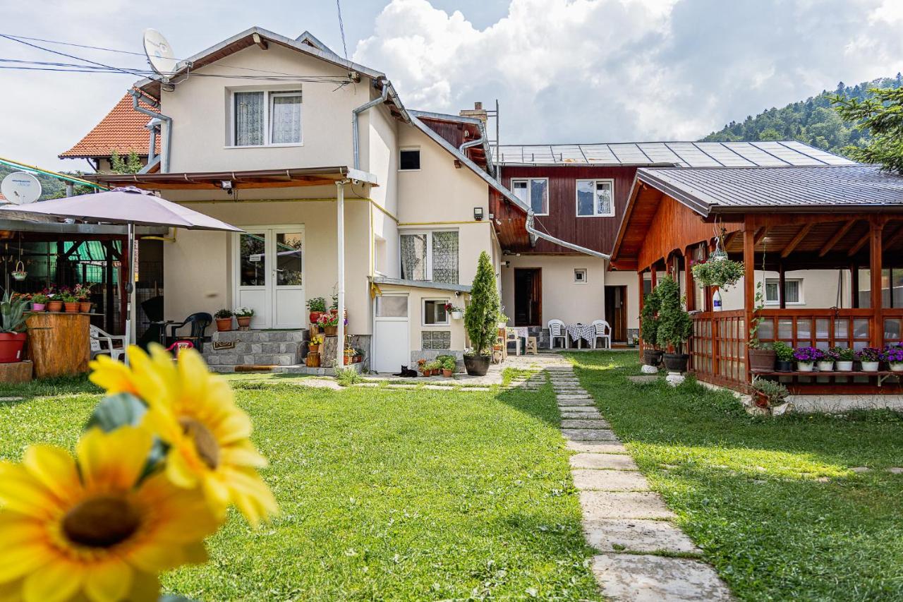 Pensiunea Montan Buşteni エクステリア 写真