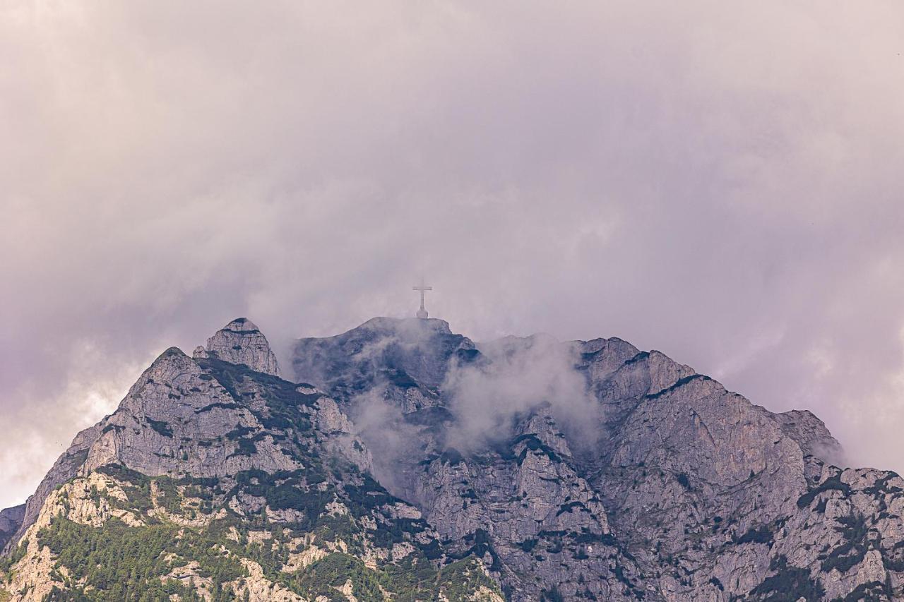 Pensiunea Montan Buşteni エクステリア 写真
