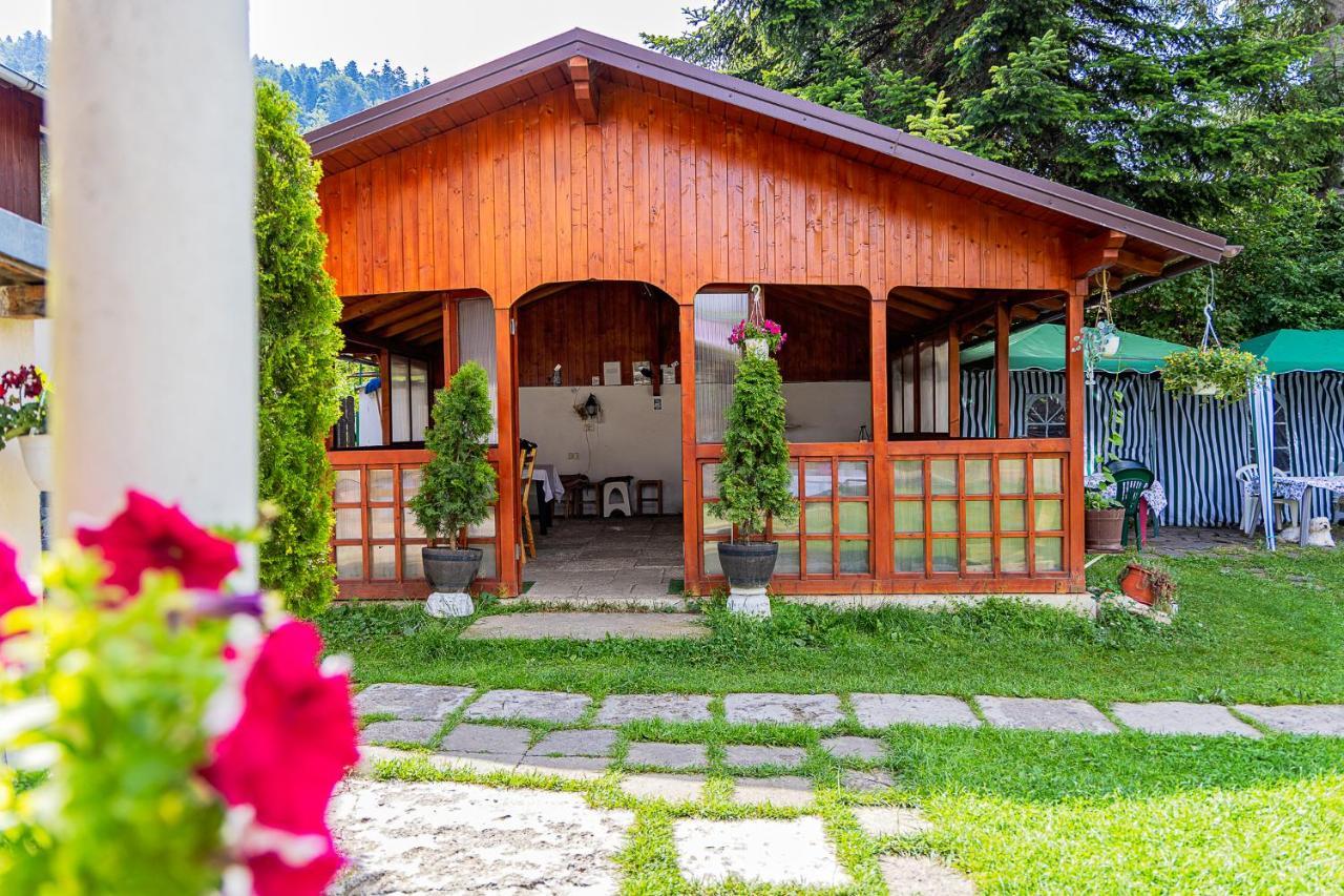 Pensiunea Montan Buşteni エクステリア 写真