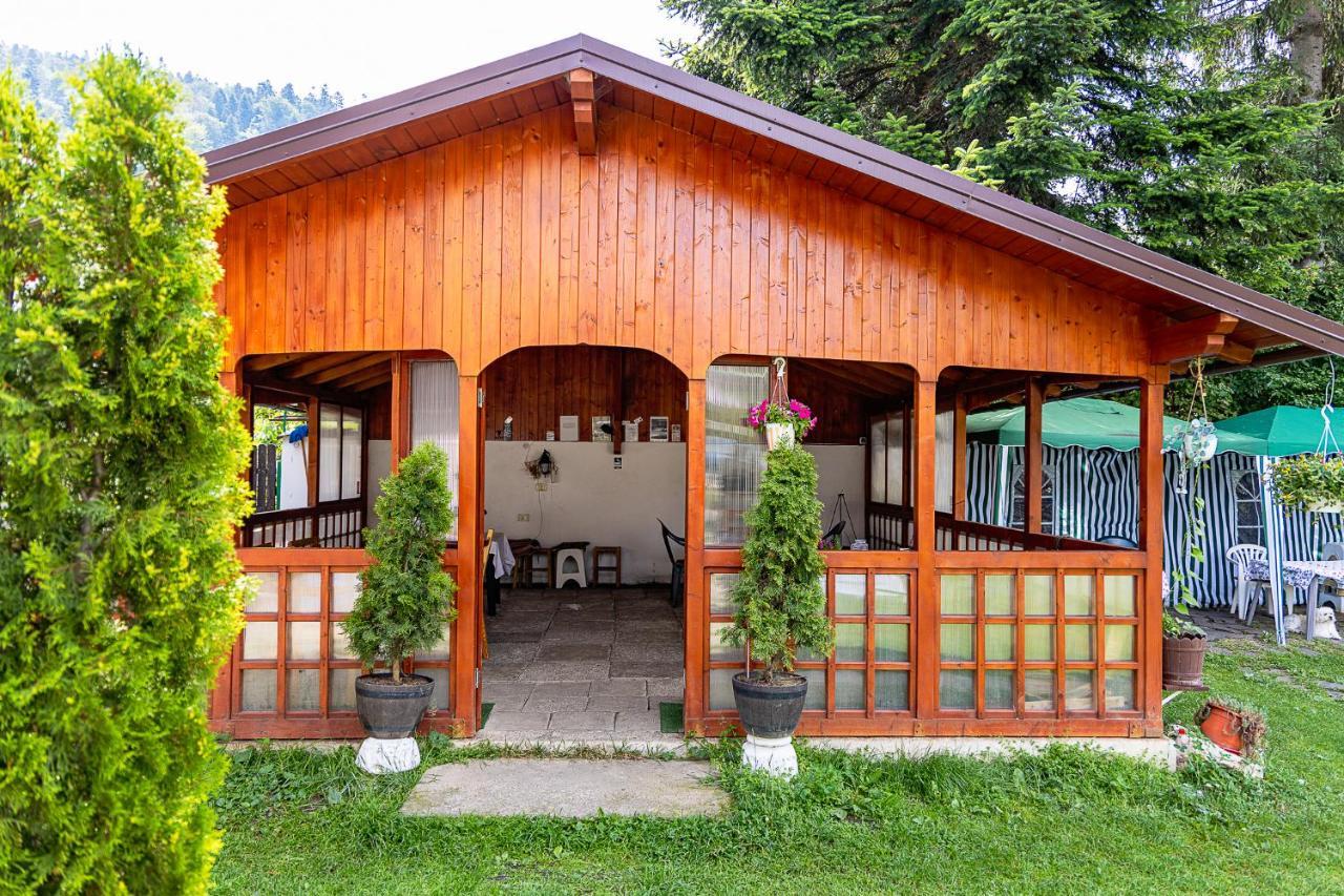 Pensiunea Montan Buşteni エクステリア 写真