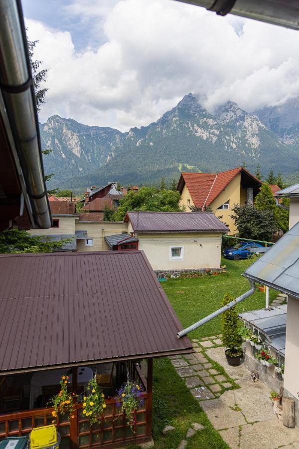 Pensiunea Montan Buşteni エクステリア 写真