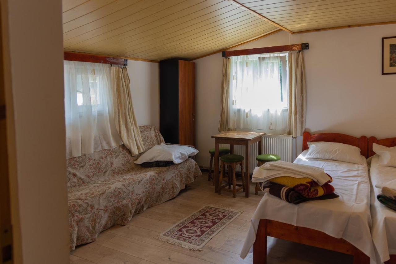 Pensiunea Montan Buşteni エクステリア 写真