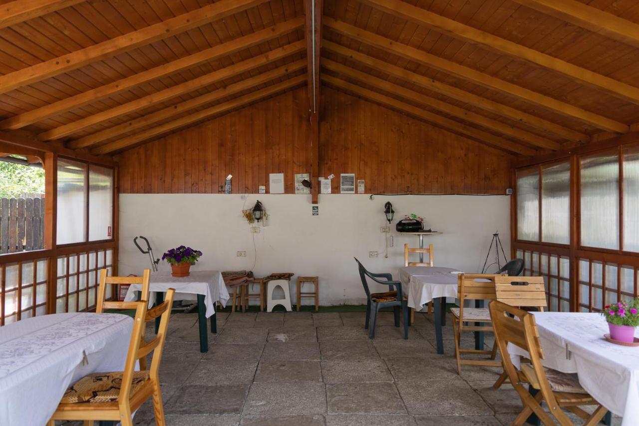 Pensiunea Montan Buşteni エクステリア 写真