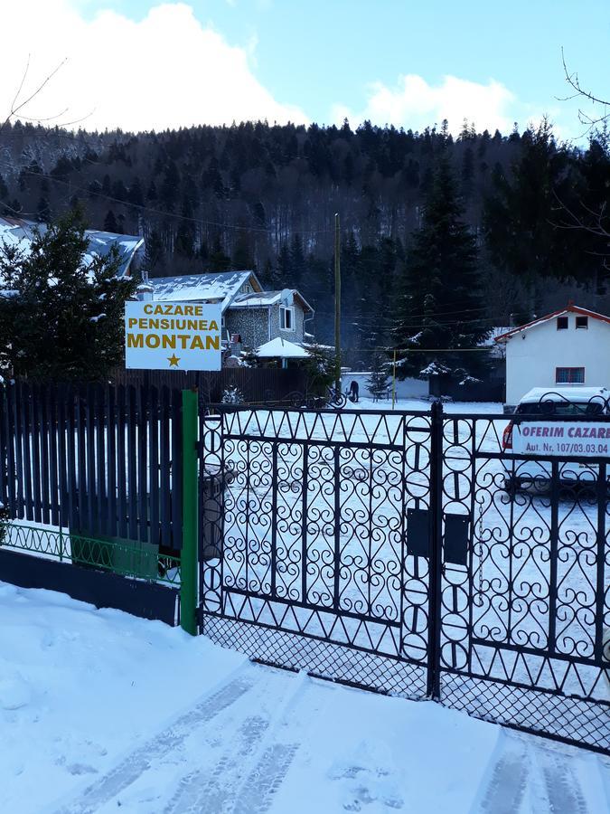 Pensiunea Montan Buşteni エクステリア 写真